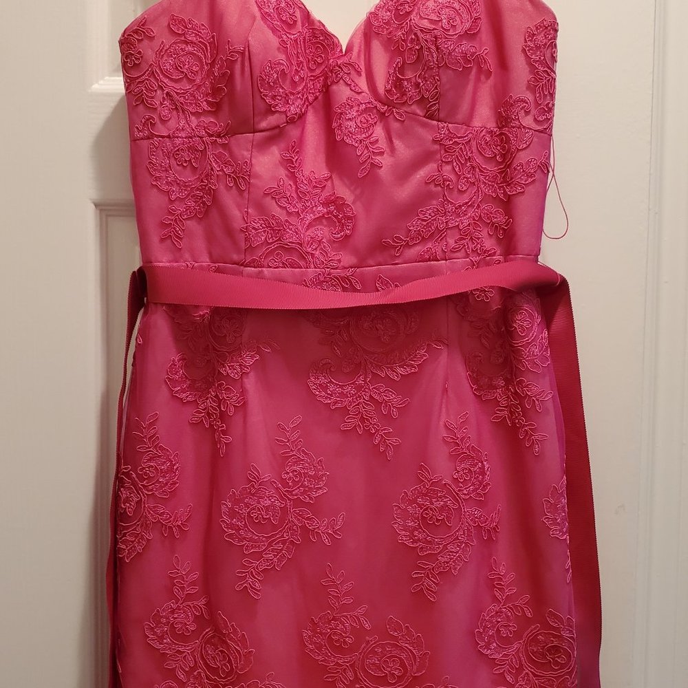 Aidan Mattox Pink Lace Overlay Dress 10
